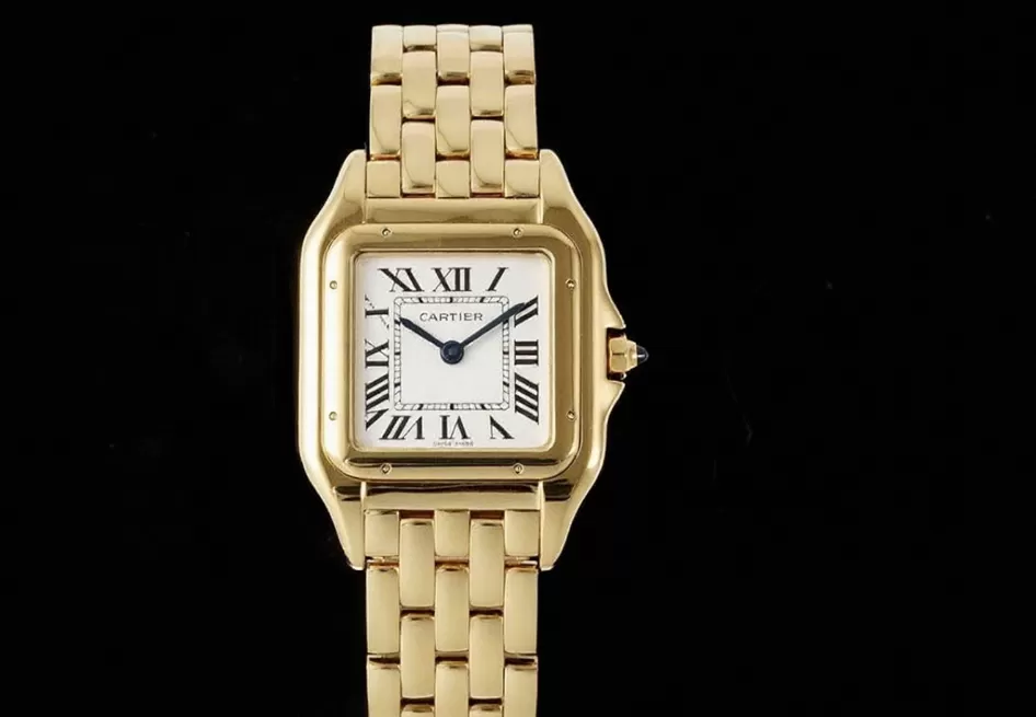 Panthere Secrete De Ladies 27mm YG / YG White AF Quartz - Image 3