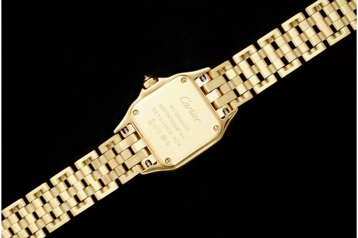 Panthere Secrete De Ladies Small 22mm YG / YG White AF Quartz - Image 7