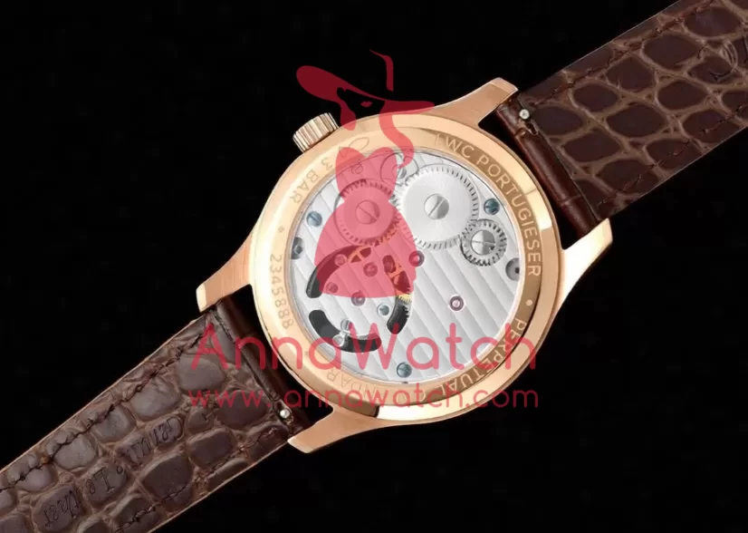 Portugieser IW545 42.4mm RG / LE White Dial RMSF Tourb - Image 9