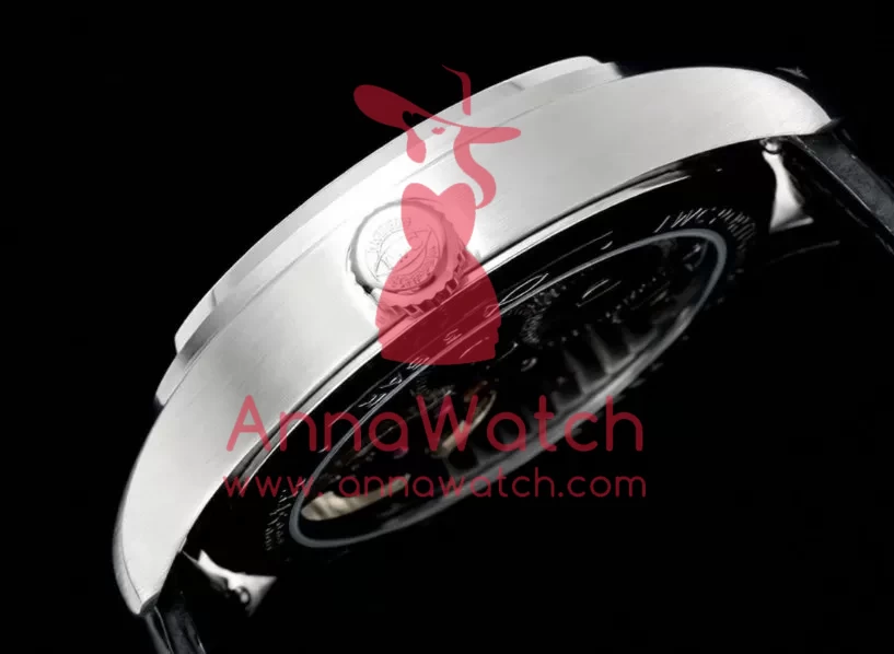 Portugieser IW545 42.4mm SS / LE White Dial RMSF Tourb - Image 6