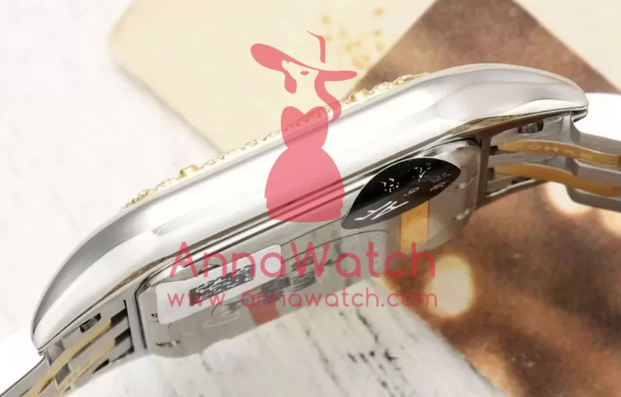 Panthere Secrete De Ladies 27mm Dia YG / SS Gold Brown Dial AF Quartz - Image 7